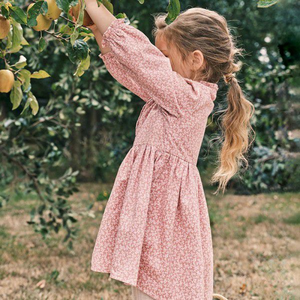 Girl's dress autumn children's dress pure cotton long sleeved children's dress princess dress 